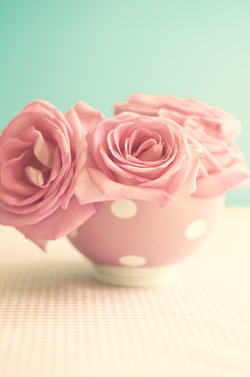 Pink Flower Pot 