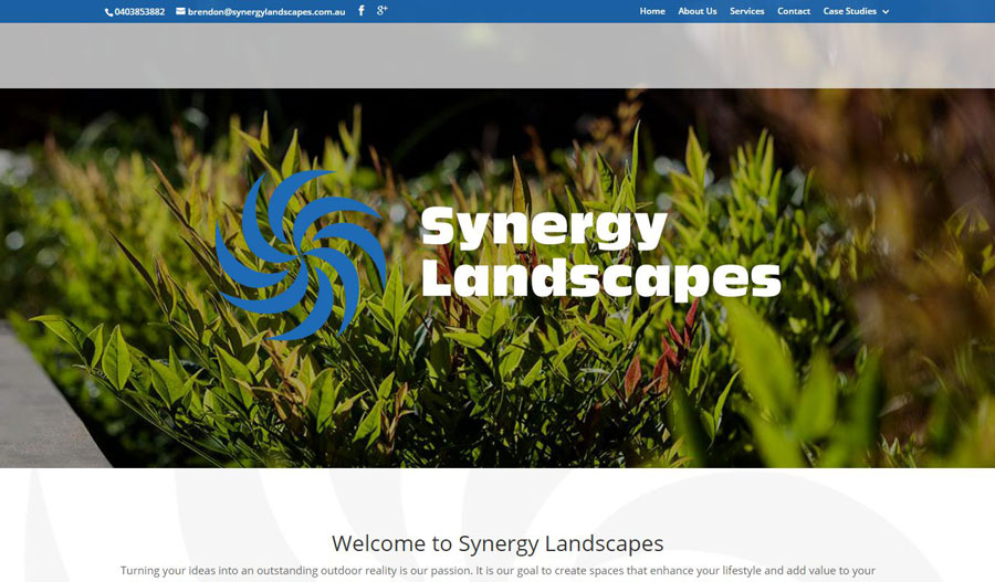 Synergy Landscape Website Case Study